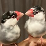 「ヒュッゲな暮らし」を楽しむ　お施主様とゆかいな仲間たち♪の画像