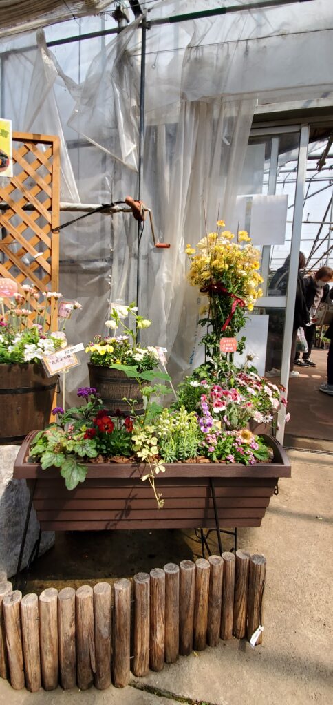寄せ植えの画像