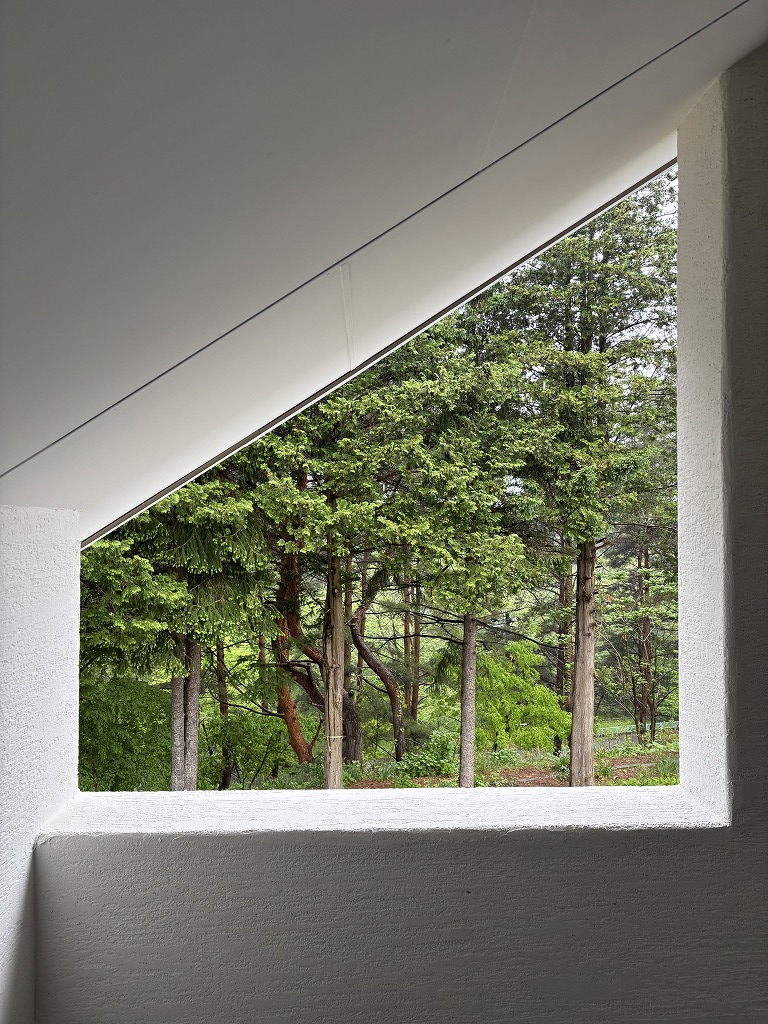sites/5/2025/05/1-1.jpgの画像
