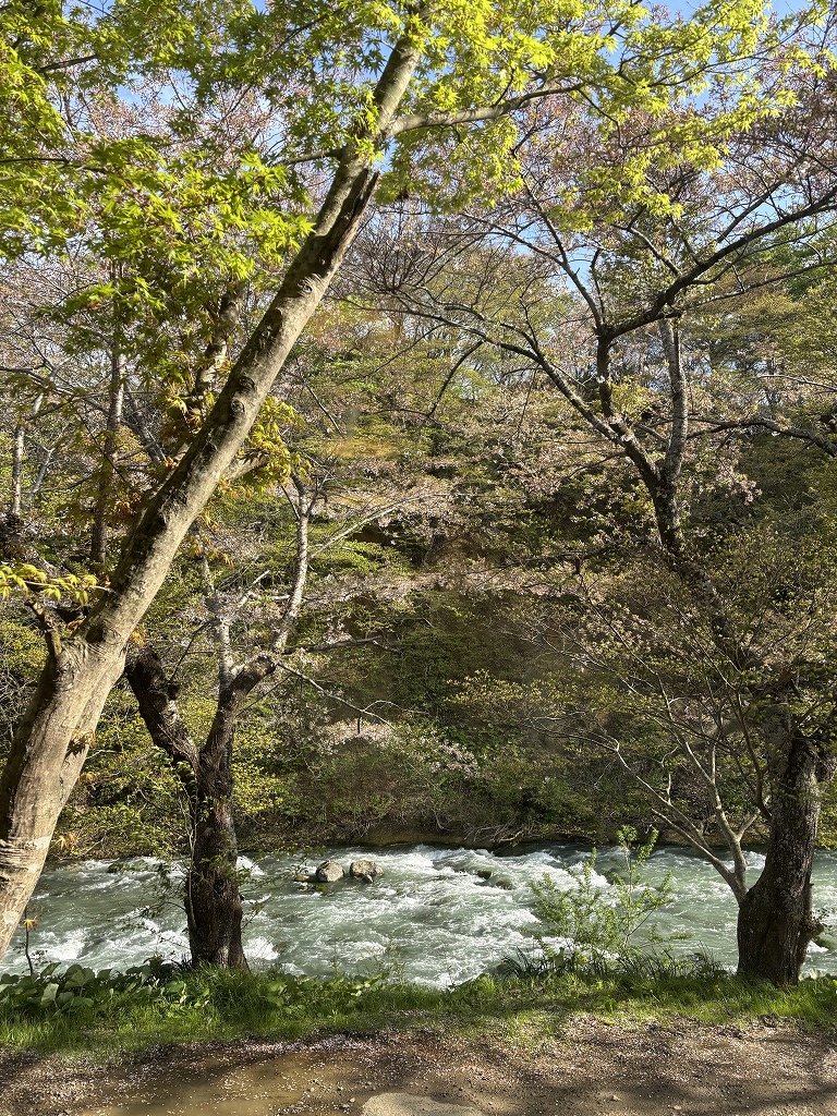 sites/5/2025/05/10-1.jpgの画像