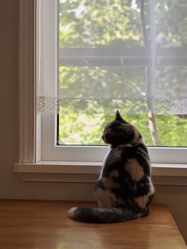 sites/5/2025/05/12.jpgの画像