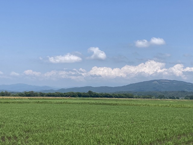 日本の田舎風景を象徴するような、とてものどかで美しい景色の画像