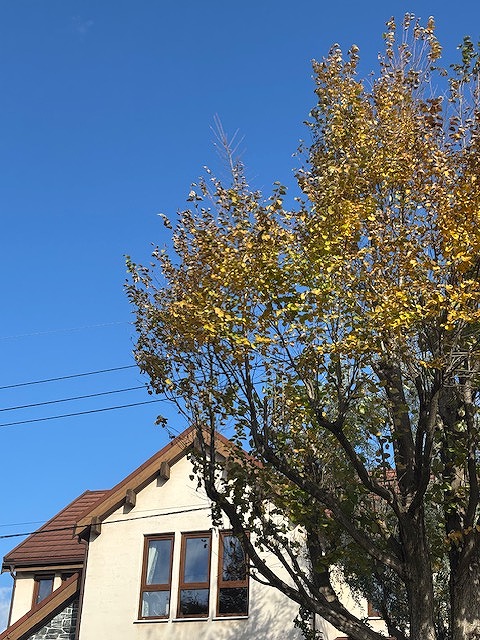 sites/5/2025/11/1.jpgの画像