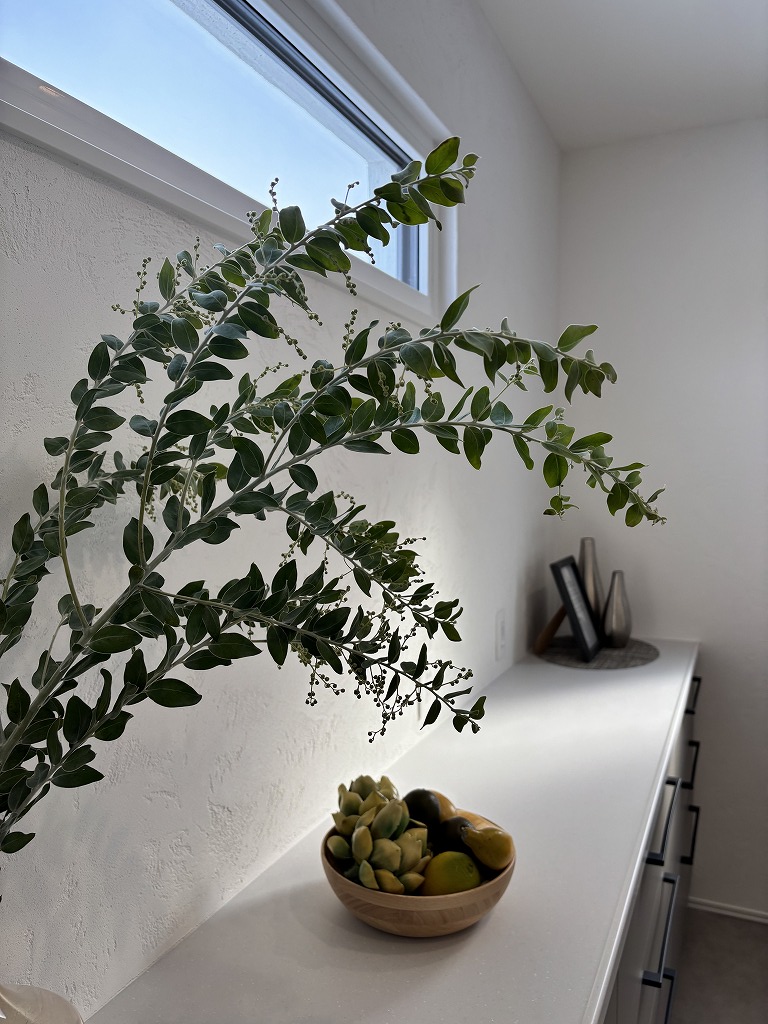 sites/5/2026/01/0.jpgの画像