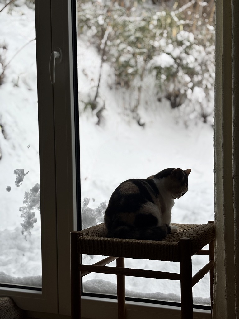 sites/5/2026/01/7.jpgの画像