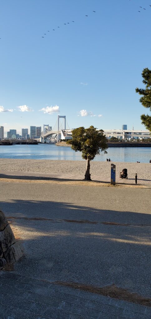 お台場海浜公園の画像