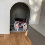 ペットのいるくらし 　チワワの画像