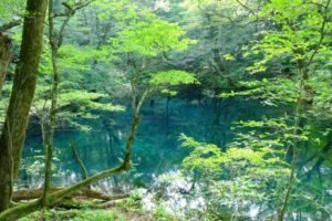 sites/8/2018/08/3ba142ad99ffbdac1a3eb77d0e82563e_t-300x200.jpgの画像