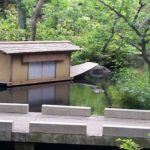 sites/6/2018/05/a93f48eefa90abd9c7708c2e0acfb962-150x150.jpgの画像