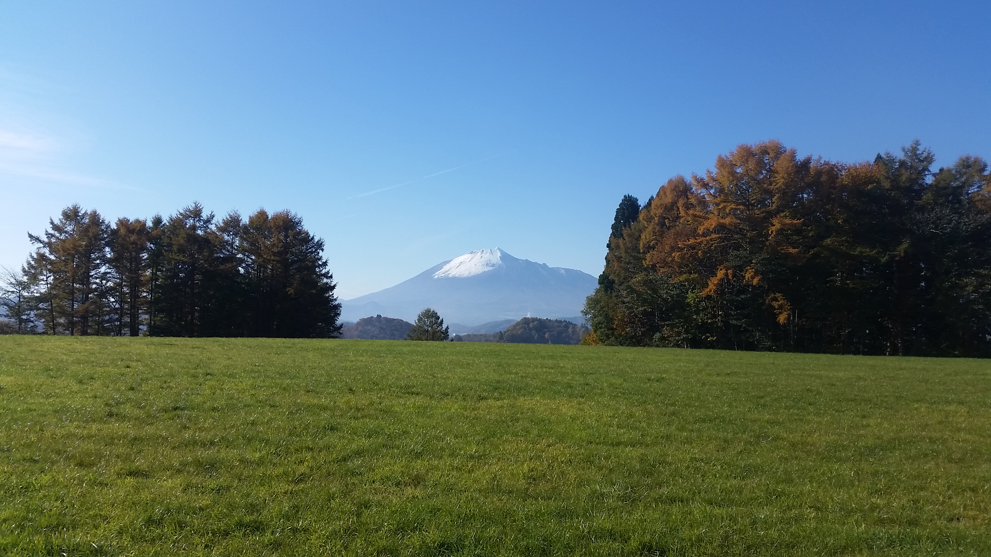 sites/6/2018/11/20181105_091614.jpgの画像