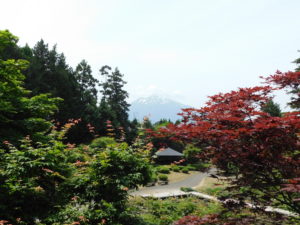 sites/6/2019/06/35abecdfc3e9a3a54c34db10d5b230ce-300x225.jpgの画像