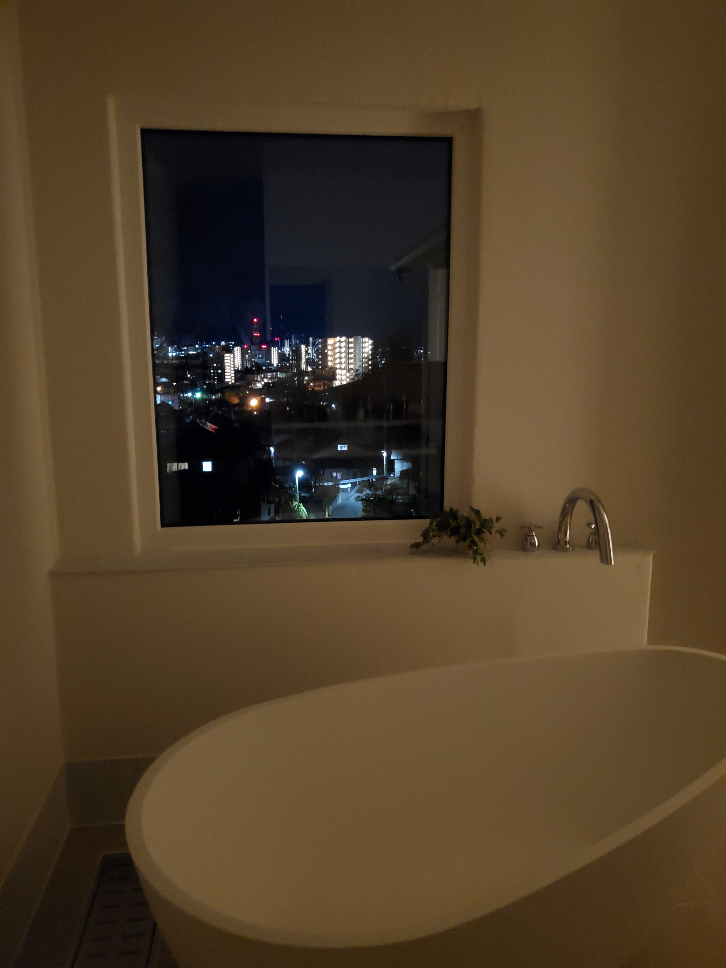 sites/6/2020/04/29366225c0351a4f55b857a6ea7d6b24.jpgの画像