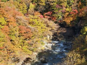 sites/6/2020/10/40868336be20abbcd30778dda9195beb-300x225.jpgの画像