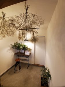 sites/6/2020/10/8-225x300.jpgの画像