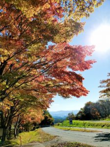 sites/6/2020/10/ba044a47f92f7ce6468c1e6b4608a0f0-225x300.jpgの画像