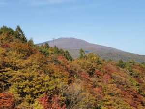 sites/6/2020/10/c605faa805a909d9381670be1556d568-300x225.jpgの画像