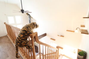 sites/6/2022/01/12-1-300x200.jpgの画像