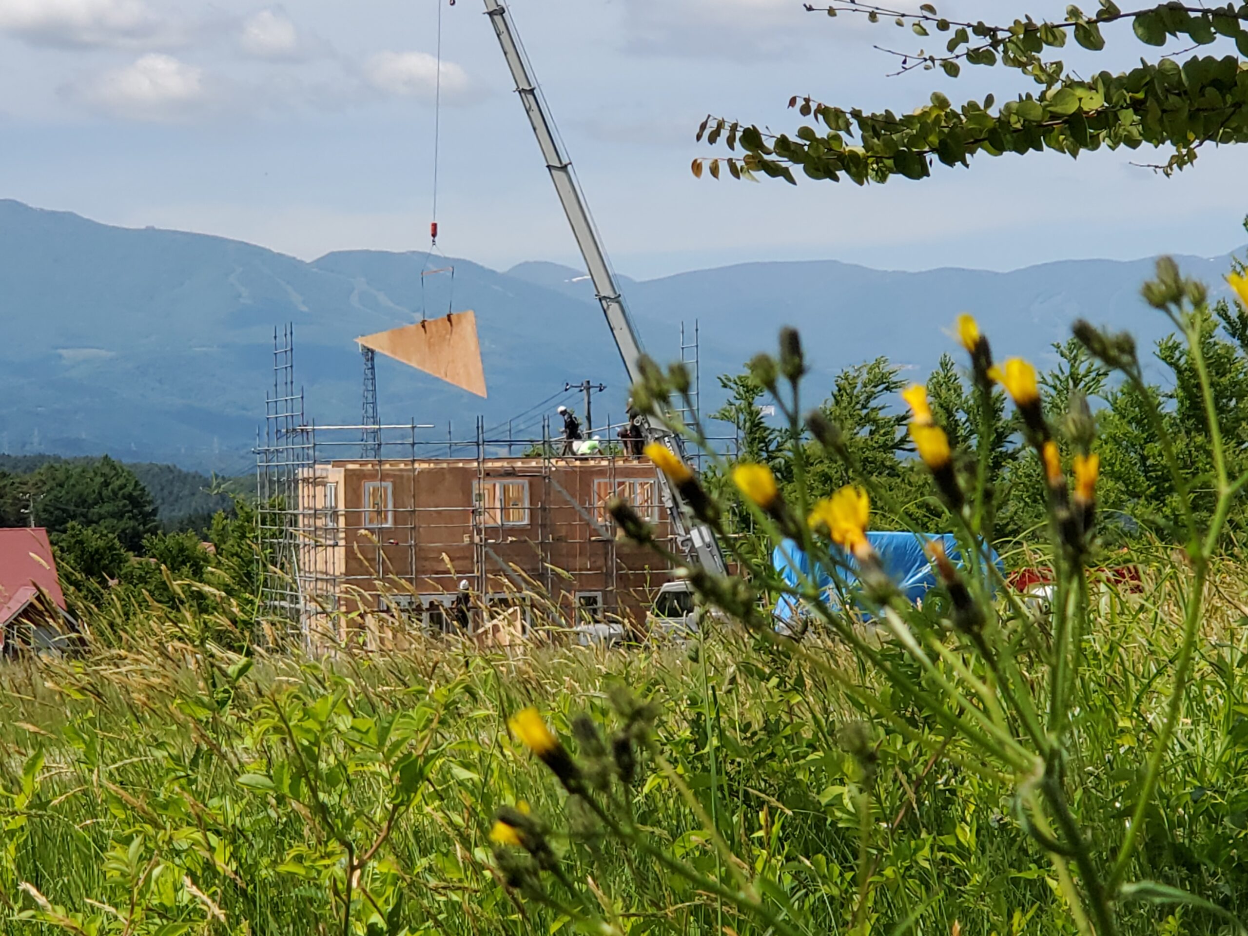 sites/6/2022/06/12-scaled.jpgの画像