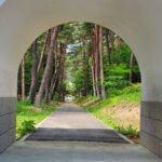 sites/6/2022/07/f6d62f8c520520e782294df6df484fc3-150x150.jpgの画像