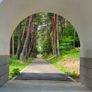 sites/6/2022/07/f6d62f8c520520e782294df6df484fc3-300x300.jpgの画像