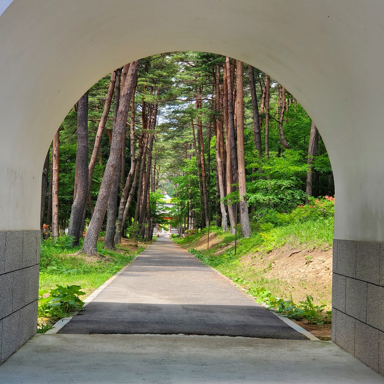 sites/6/2022/07/f6d62f8c520520e782294df6df484fc3.jpgの画像
