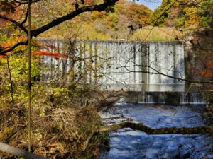 sites/6/2022/11/20221101_093655-300x225.jpgの画像
