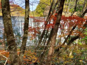 sites/6/2022/11/20221101_093720-300x225.jpgの画像