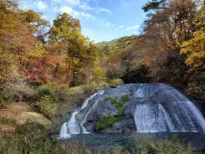 sites/6/2022/11/20221101_093923-300x225.jpgの画像