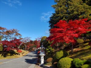 sites/6/2022/11/20221102_092657-300x225.jpgの画像