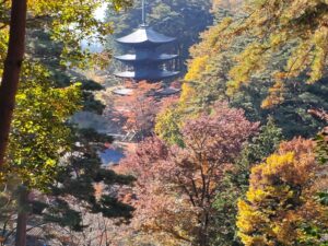 sites/6/2022/11/20221102_094106-300x225.jpgの画像