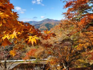 sites/6/2022/11/20221102_094728-300x225.jpgの画像
