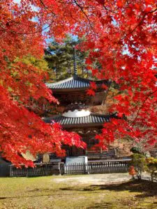 sites/6/2022/11/20221102_094812-225x300.jpgの画像