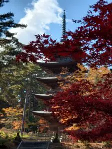 sites/6/2022/11/20221102_095939-225x300.jpgの画像