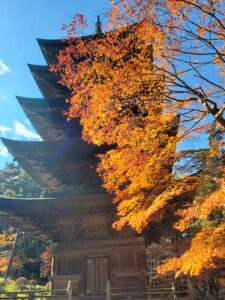 sites/6/2022/11/20221102_100048-225x300.jpgの画像