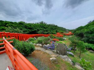sites/6/2023/08/20230719_114146-300x225.jpgの画像