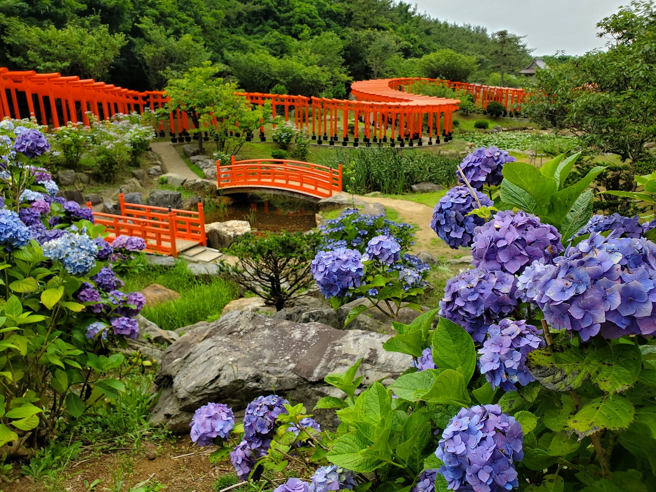 sites/6/2023/08/20230719_114442.jpgの画像