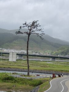 sites/6/2023/08/20230809_113449-225x300.jpgの画像