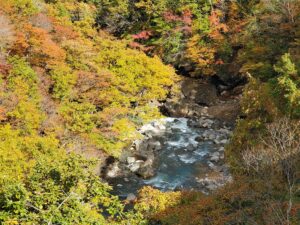 sites/6/2023/11/20231018_124758-300x225.jpgの画像