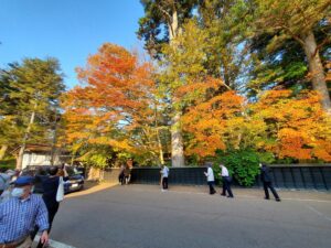 sites/6/2023/11/20231103_145647-300x225.jpgの画像