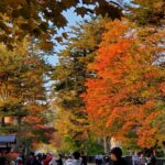 sites/6/2023/11/20231103_160623-150x150.jpgの画像