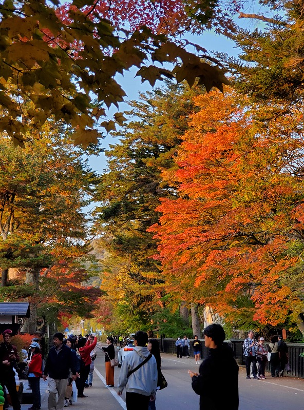 sites/6/2023/11/20231103_160623.jpgの画像