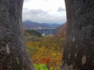 sites/6/2023/11/20231104_114307-300x225.jpgの画像