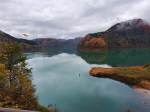 sites/6/2023/11/20231104_115008-300x225.jpgの画像