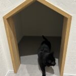 お施主様の愛猫｜盛岡市で高断熱高気密注文住宅を考えるなら大共ホームの画像