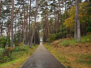 sites/6/2024/11/1-300x225.jpgの画像