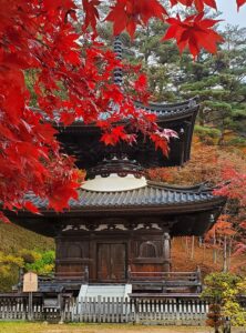 sites/6/2024/11/10-222x300.jpgの画像