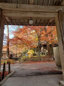sites/6/2024/11/11-2-222x300.jpgの画像