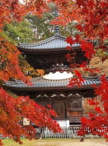 sites/6/2024/11/11-222x300.jpgの画像