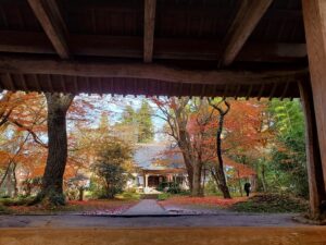 sites/6/2024/11/14-2-300x225.jpgの画像