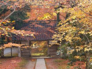 sites/6/2024/11/16-2-300x225.jpgの画像